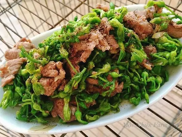 Top 10 Nhà Hàng Hoa Thiên Lý Nổi Tiếng: Review Chi Tiết Vị Trí, Giá Cả & Trải Nghiệm