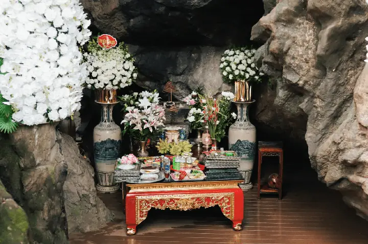 Review Chi Tiết 'nhà Hàng Trâu Tám Hương': Top 5 Địa Chỉ Uy Tín Nhất Định Phải Thử