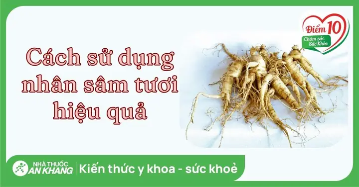 Nhân Sâm Làm Món Gì? Khám Phá 15+ Món Ngon Bổ Dưỡng Từ Nhân Sâm