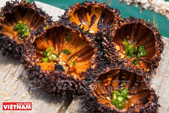 Khám Phá Món Nhím Biển Nướng Mỡ Hành: Hương Vị Đại Dương Độc Đáo