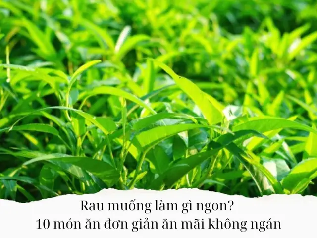 10+ Món Ngon Bổ Dưỡng Từ Rau Muống: Cách Chế Biến Đơn Giản, Giữ Trọn Dinh Dưỡng