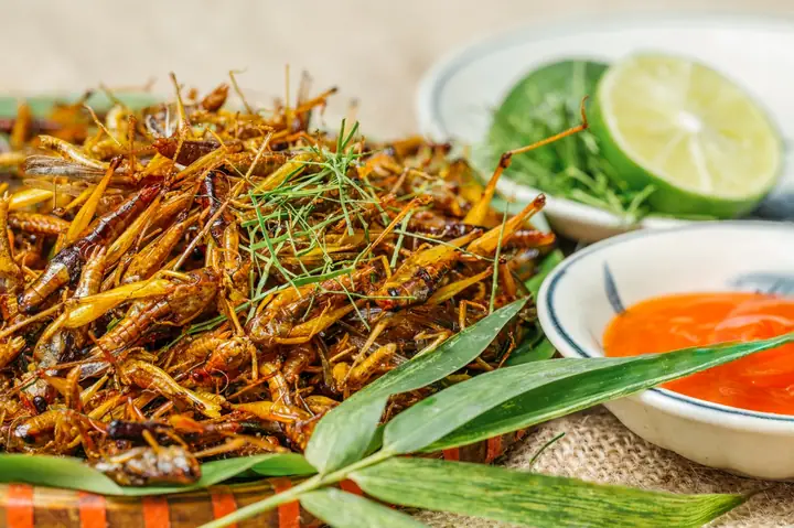 Khám Phá Những Món Ăn Ngon Đồng Quê Dân Dã, Bình Dị Mà Khó Quên