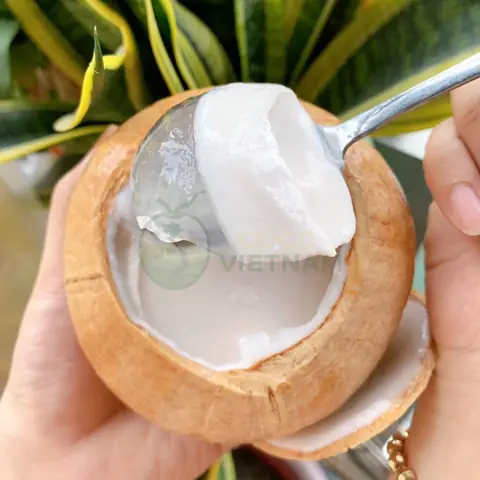 Top 7+ Nơi Bán Rau Câu Trái Dừa Ngon, Chất Lượng Tại Tp.hcm