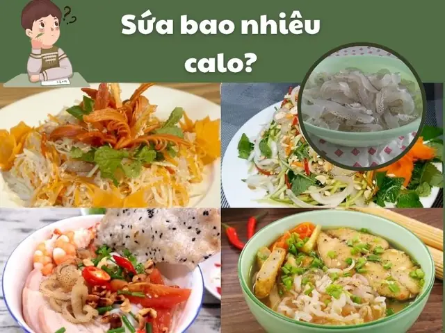 Nộm Sứa Bao Nhiêu Calo? Giải Đáp Chi Tiết Cho Người Ăn Kiêng Và Healthy