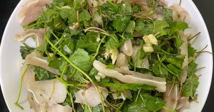 Cách Làm Nộm Tai Heo Rau Má Chua Cay Giòn Ngon Chuẩn Vị