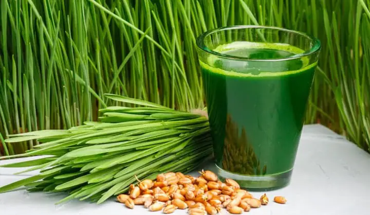 Nước Ép Cỏ Lúa Mì: Lợi Ích, Tác Hại Và Hướng Dẫn Sử Dụng Đúng Cách