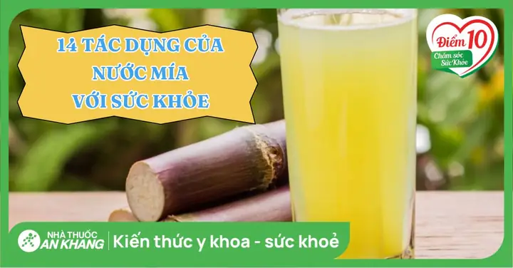 Nước Lau Có Tác Dụng Gì? Khám Phá 5+ Công Dụng Bất Ngờ Cho Sức Khỏe