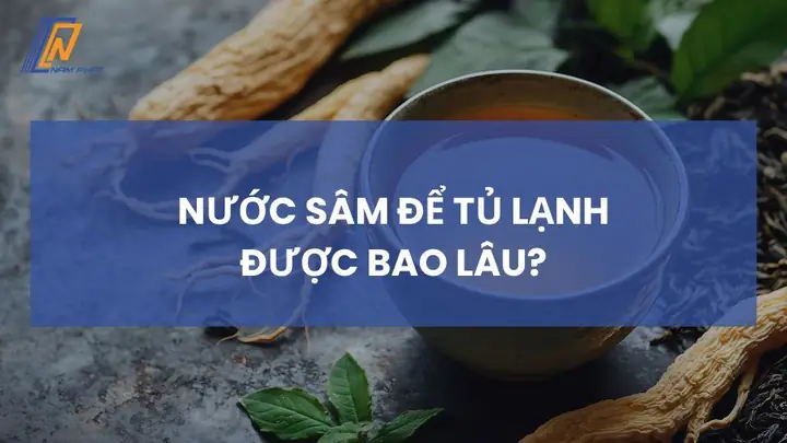 Nước Sâm Để Tủ Lạnh Được Bao Lâu Và Cách Bảo Quản Đúng Giúp Giữ Nguyên Dưỡng Chất