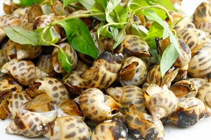 Cách Nướng Ốc Hương Bằng Nồi Chiên Không Dầu Thơm Ngon, Chuẩn Vị