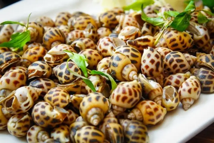 Cách Nướng Ốc Hương Bằng Nồi Chiên Không Dầu Thơm Ngon, Chuẩn Vị