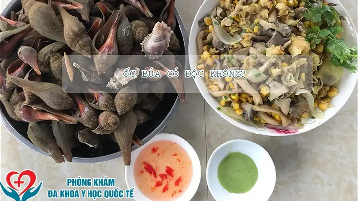 Ốc Búa Làm Gì Ngon? Khám Phá 5 Món Ăn Ngon "vạn Người Mê" Từ Loại Ốc Độc Đáo Ốc Búa Làm Gì Ngon? Khám Phá 5 Món Ăn Ngon "vạn Người Mê" Từ Loại Ốc Độc Đáo