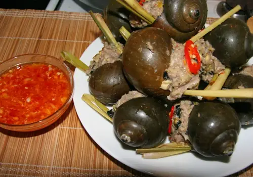 Ốc Bươu Nhồi Thịt 9 Ốc: Khám Phá Món Ngon Đặc Sản Miền Tây Ốc Bươu Nhồi Thịt 9 Ốc: Khám Phá Món Ngon Đặc Sản Miền Tây