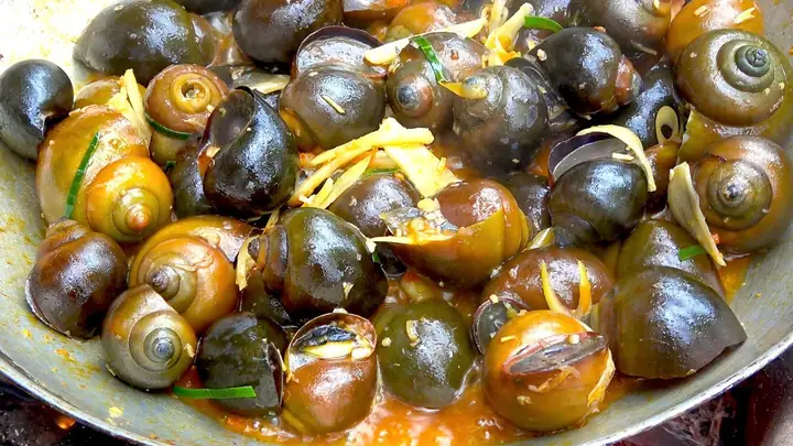 Ốc Bươu Vàng Ăn Gì