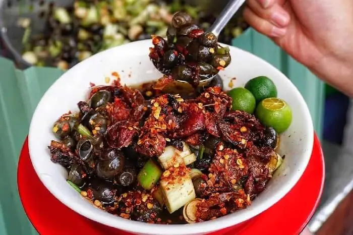 Khám Phá Vẻ Đẹp Ẩm Thực: Đâu Là Địa Chỉ Cho Món Ốc Hút Ngon Đà Nẵng?