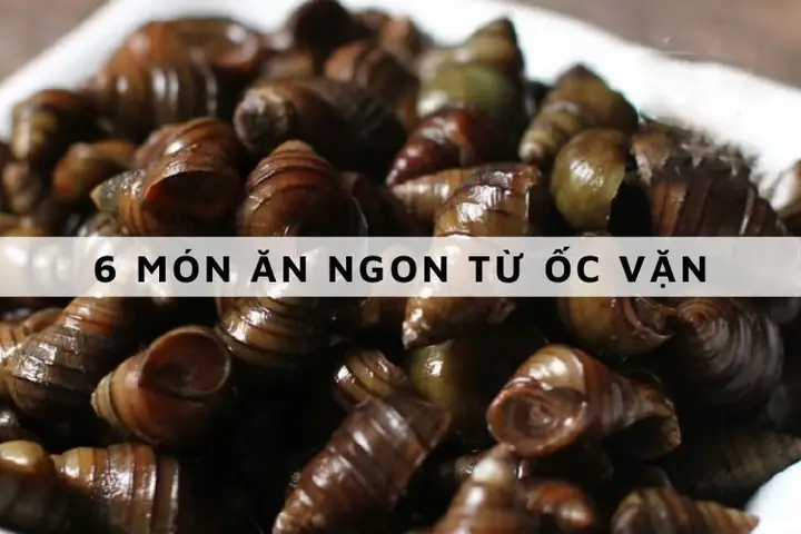 Ốc Vặn Là Ốc Gì? Khám Phá Chi Tiết Về Loài Ốc Nổi Tiếng Trong Ẩm Thực Việt Nam Ốc Vặn Là Ốc Gì? Khám Phá Chi Tiết Về Loài Ốc Nổi Tiếng Trong Ẩm Thực Việt Nam