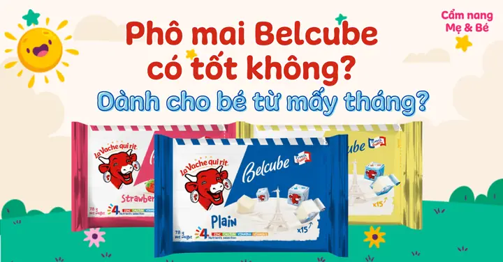Phô Mai Belcube Cho Bé Mấy Tháng? Cách Dùng Và Những Lưu Ý Quan Trọng Cho Mẹ Phô Mai Belcube Cho Bé Mấy Tháng? Cách Dùng Và Những Lưu Ý Quan Trọng Cho Mẹ