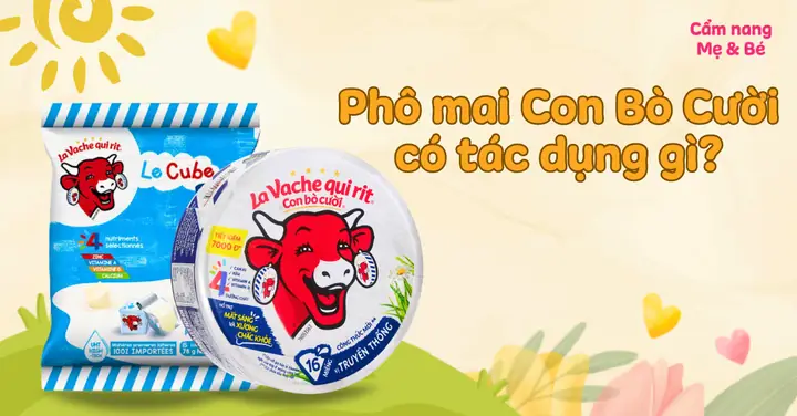 Phô Mai Con Bò Cười Làm Từ Gì? Thành Phần, Dinh Dưỡng Và Các Lưu Ý Khi Sử Dụng