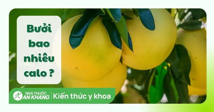 So Sánh Quả Bòng Và Quả Bưởi: Điểm Giống, Khác Và Công Dụng Bất Ngờ So Sánh Quả Bòng Và Quả Bưởi: Điểm Giống, Khác Và Công Dụng Bất Ngờ