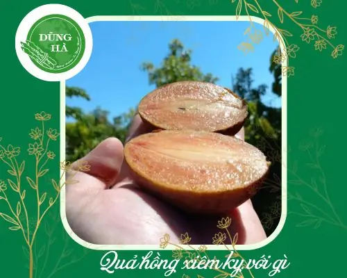 Quả Hồng Xiêm Kỵ Với Gì? Những Điều Cần Lưu Ý Khi Ăn Quả Hồng Xiêm Quả Hồng Xiêm Kỵ Với Gì? Những Điều Cần Lưu Ý Khi Ăn Quả Hồng Xiêm