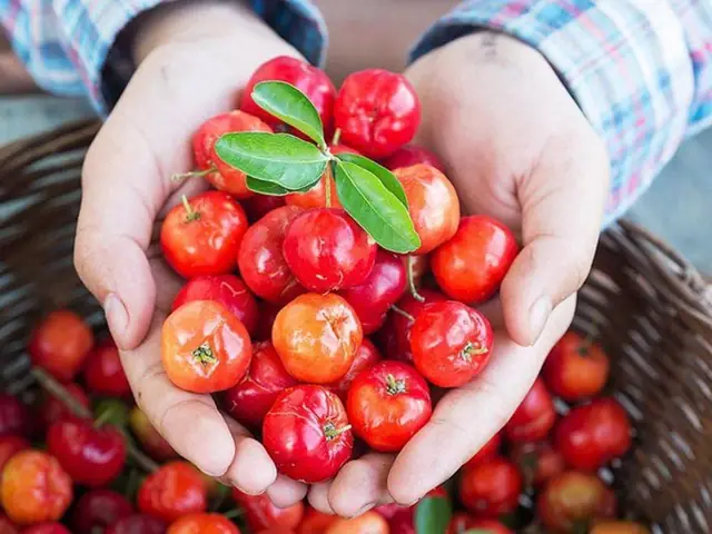 Sơ Ri Miền Nam: Khám Phá Vị Ngon Đậm Chất Đồng Bằng