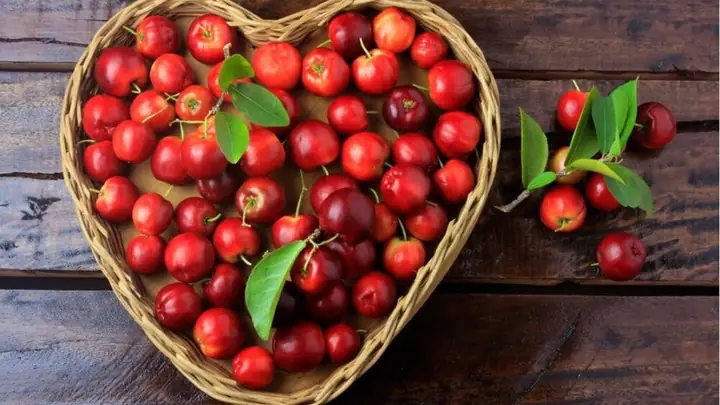 Sơ Ri Miền Nam: Khám Phá Vị Ngon Đậm Chất Đồng Bằng