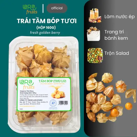 Quả Tầm Bóp Ăn Như Thế Nào? Khám Phá Hương Vị Và Công Dụng Bất Ngờ Quả Tầm Bóp Ăn Như Thế Nào? Khám Phá Hương Vị Và Công Dụng Bất Ngờ