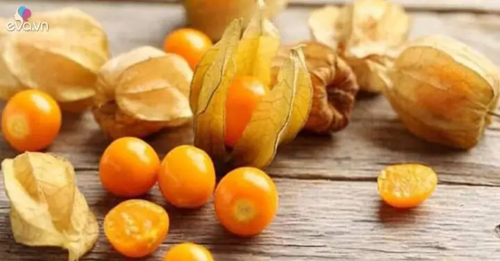 Quả Tầm Bóp Ăn Như Thế Nào? Khám Phá Hương Vị Và Công Dụng Bất Ngờ Quả Tầm Bóp Ăn Như Thế Nào? Khám Phá Hương Vị Và Công Dụng Bất Ngờ