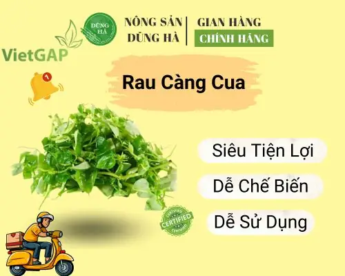 Rau Càng Cua Miền Bắc Gọi Là Gì? Giải Đáp Chính Xác Và Chi Tiết Nhất