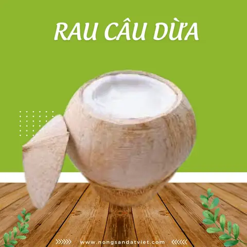 Top 8 Mua Rau Câu Dừa Đà Nẵng: Đánh Giá Chi Tiết Vị Ngon, Giá Tốt Top 8 Mua Rau Câu Dừa Đà Nẵng: Đánh Giá Chi Tiết Vị Ngon, Giá Tốt