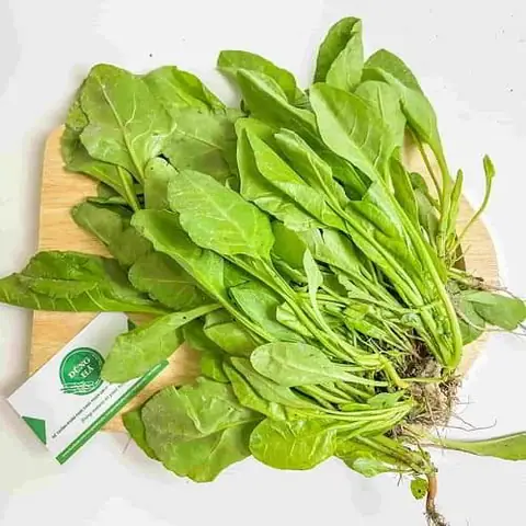Rau Chân Vịt Và Cải Bó Xôi: Phân Biệt Chi Tiết, Giá Trị Dinh Dưỡng Và Công Dụng Bất Ngờ