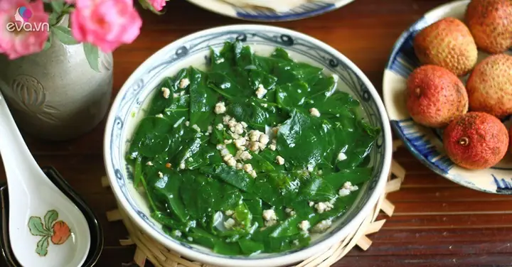 Rau Chùm Ngây Là Rau Ngót? Sự Thật Về Hai Loại Rau Thường Bị Nhầm Lẫn