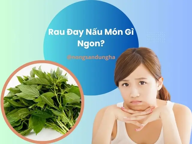 Rau Đay Nấu Canh Gì Ngon Và Bổ Dưỡng Nhất Cho Gia Đình?