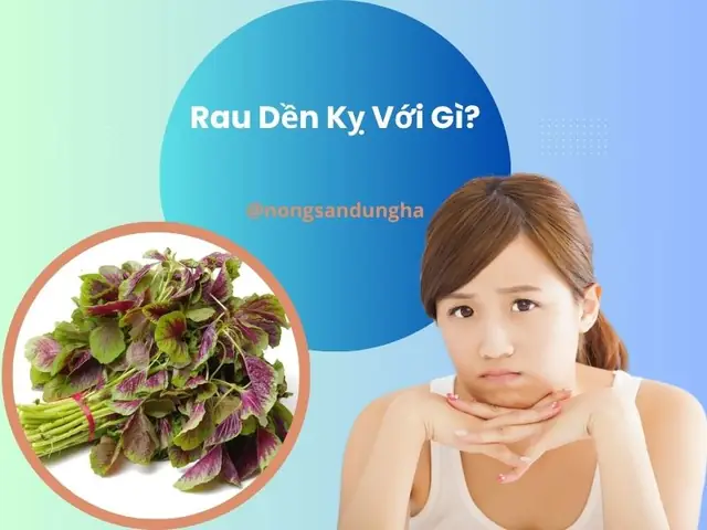 Rau Dền Kỵ Với Gì? Những Điều Cần Biết Để Ăn Đúng Cách Và An Toàn Rau Dền Kỵ Với Gì? Những Điều Cần Biết Để Ăn Đúng Cách Và An Toàn