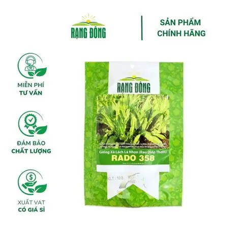 Rau Diếp Và Xà Lách: Phân Biệt Chi Tiết Và Những Lợi Ích Bất Ngờ Cho Sức Khỏe