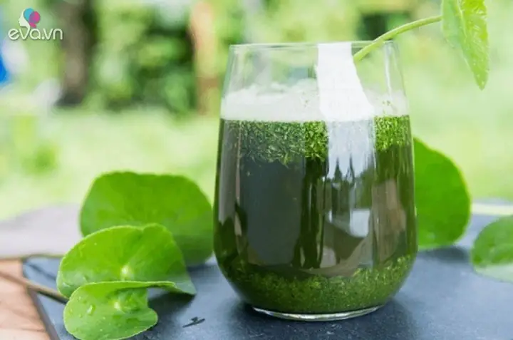 Uống Rau Má Nước Dừa Có Tác Dụng Gì? Lợi Ích Và Lưu Ý Khi Dùng