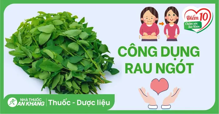 Rau Ngót Nhật Có Tác Dụng Gì? Khám Phá 6 Lợi Ích Bất Ngờ Cho Sức Khỏe
