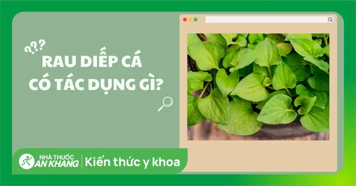 Rau Nhíp Có Tác Dụng Gì? 15+ Công Dụng Bất Ngờ Cho Sức Khỏe