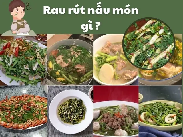 Rau Rút Là Rau Gì? Tìm Hiểu Chi Tiết Về Loại Rau Quen Thuộc Này