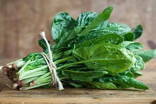 Rau Spinach Là Rau Gì? Khám Phá Tác Dụng Và Cách Dùng Hiệu Quả