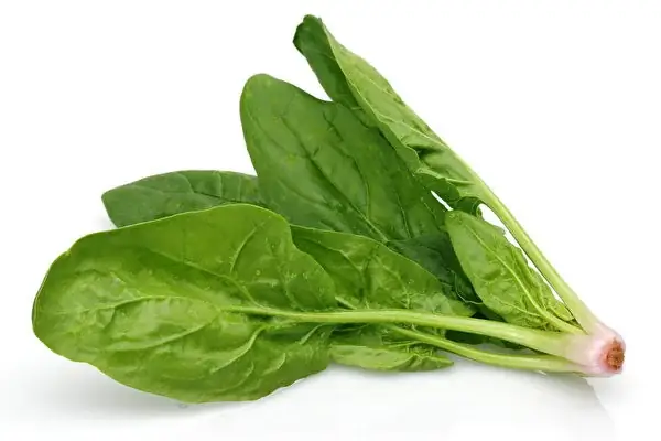 Rau Spinach Là Rau Gì? Khám Phá Tác Dụng Và Cách Dùng Hiệu Quả