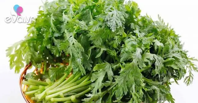 Rau Tần Ô Là Gì? Nguồn Gốc, Công Dụng Và Cách Dùng Hiệu Quả
