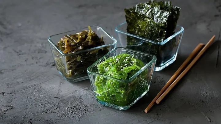 Rong Biển Ăn Chay Được Không? Giải Đáp Chi Tiết Cho Người Ăn Chay Rong Biển Ăn Chay Được Không? Giải Đáp Chi Tiết Cho Người Ăn Chay