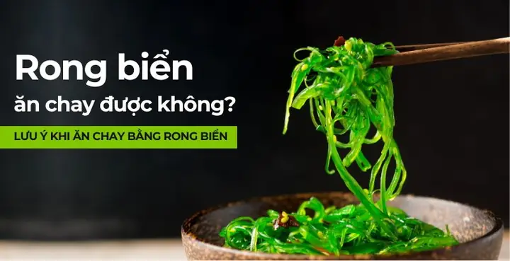 Rong Biển Ăn Chay Được Không? Giải Đáp Chi Tiết Cho Người Ăn Chay Rong Biển Ăn Chay Được Không? Giải Đáp Chi Tiết Cho Người Ăn Chay