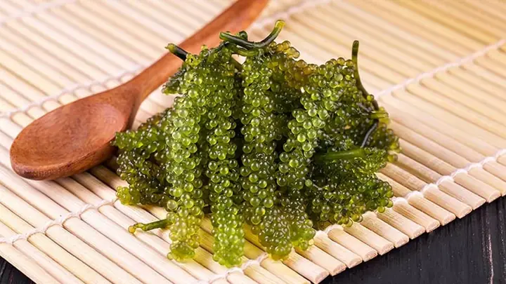 Rong Nho Ăn Sống Được Không? Giải Đáp Chi Tiết Và Hướng Dẫn Sử Dụng Đúng Cách
