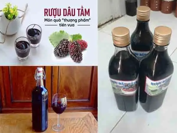 Đánh Giá Chi Tiết Rượu Dâu Tằm Đà Lạt: Top 5 Thương Hiệu Uy Tín Và Cách Phân Biệt Thật Giả