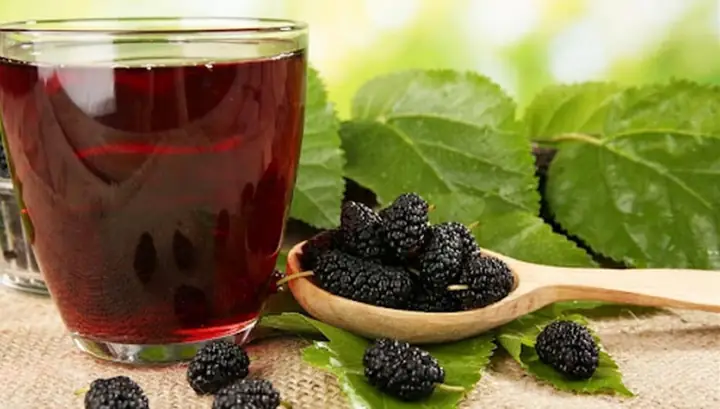 Đánh Giá Chi Tiết Rượu Dâu Tằm Đà Lạt: Top 5 Thương Hiệu Uy Tín Và Cách Phân Biệt Thật Giả