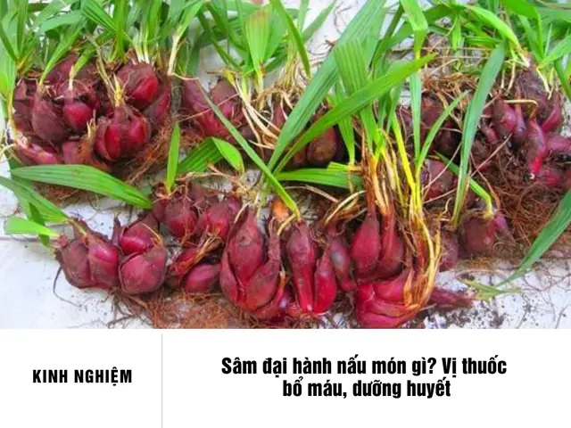 Khám Phá 15+ Món Ngon Bổ Dưỡng Từ Sâm Đại Hành Khám Phá 15+ Món Ngon Bổ Dưỡng Từ Sâm Đại Hành