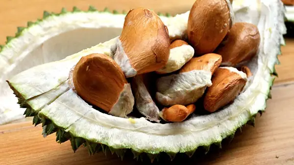 Sầu Riêng Sống Làm Gì Ăn? 10+ Cách Chế Biến Và Xử Lý Trái Cây Chưa Chín Kỹ