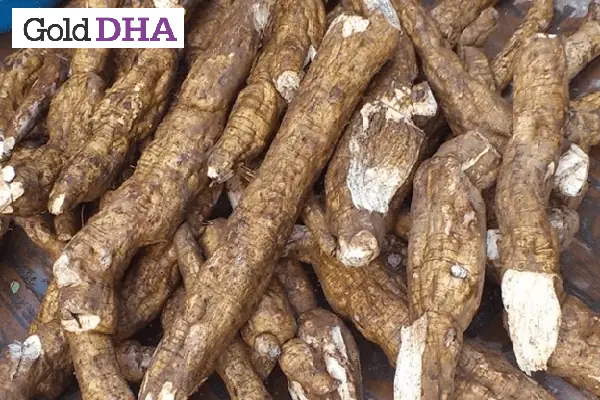 Sau Sinh Có Ăn Được Sắn Dây Luộc Không?