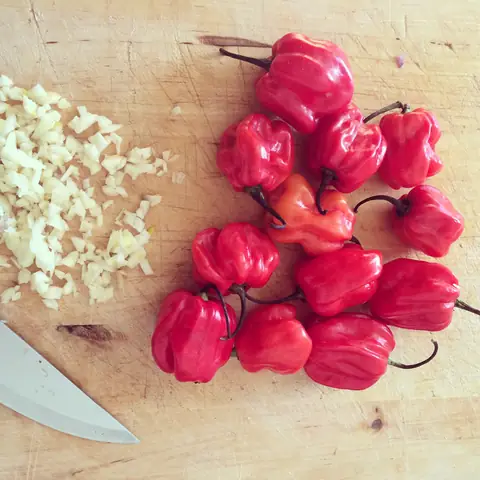 Hướng Dẫn Chi Tiết Cách Làm Sốt Ớt Scotch Bonnet Cay Nồng Chuẩn Vị Caribe